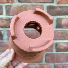 Load image into Gallery viewer, Neo. falcata Pot